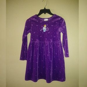 Disney Store Velvet Cinderella Dress